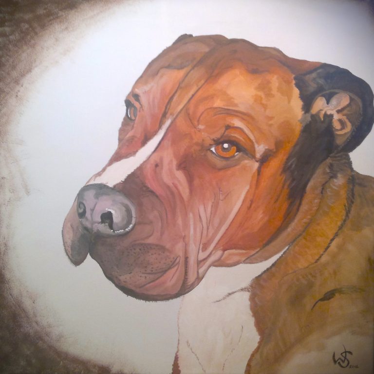 Hundeporträt - Tempera auf Leinwand Hundeporträt - Tempera auf Leinwand