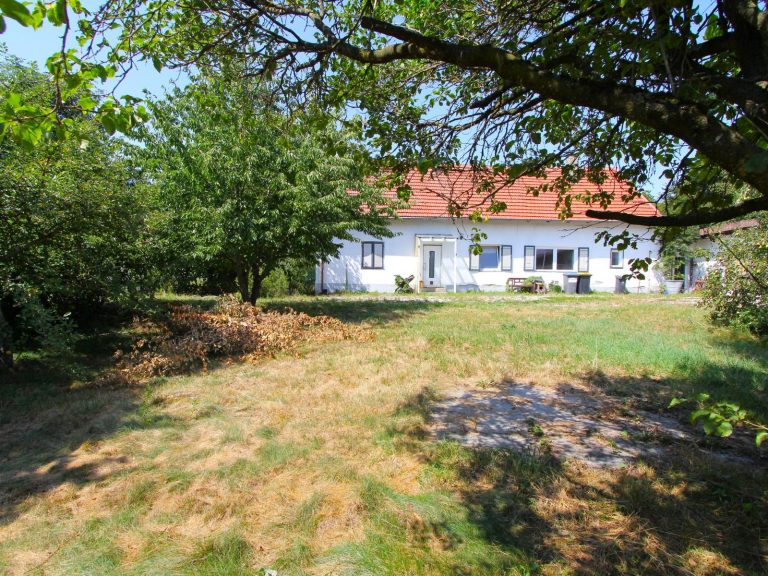 Blick von SW zum Altbestand Blick von SW zum Altbestand